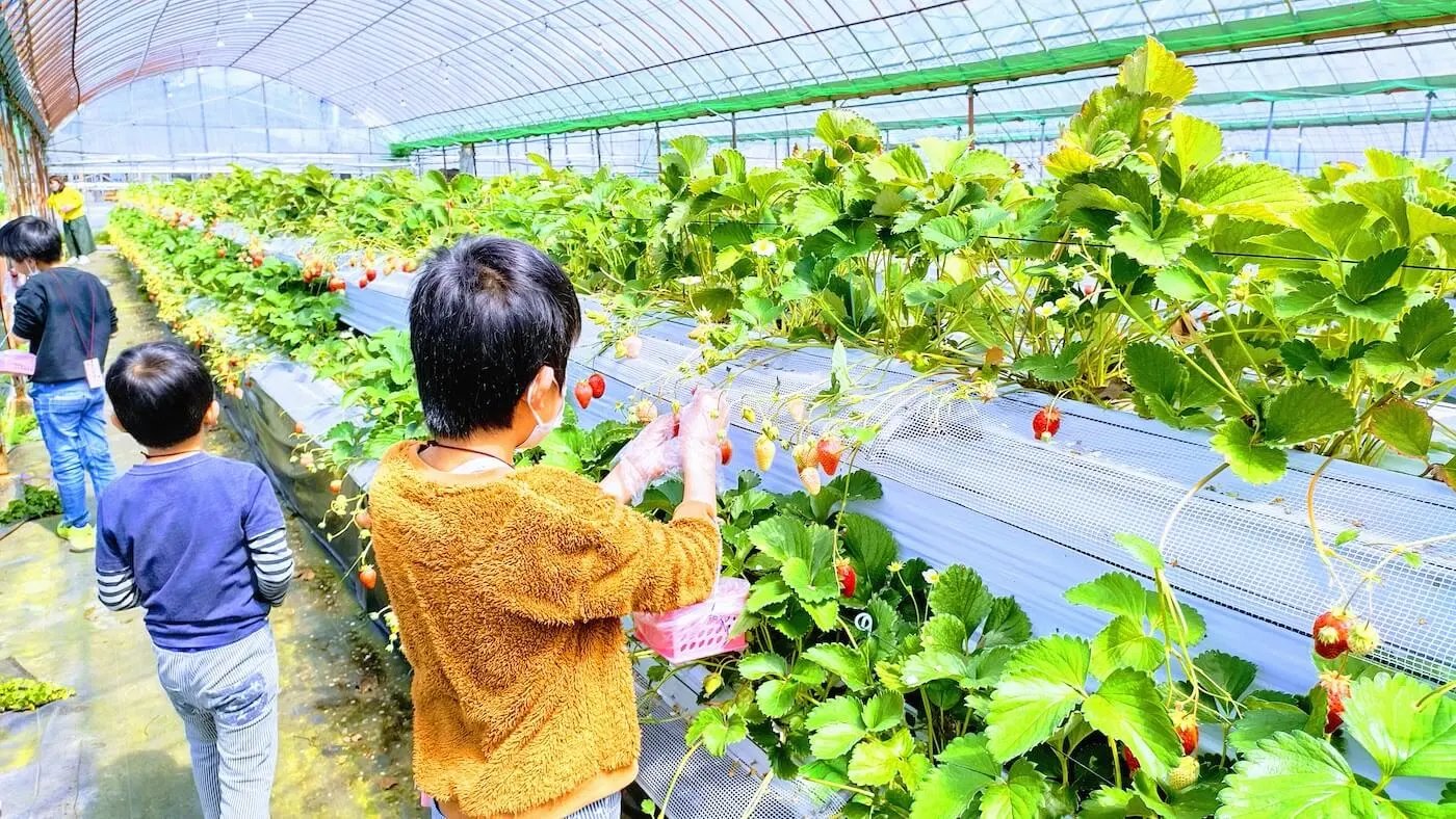 🍓 마을의 역 히로카와 과일 마을(사토노에키 히로카와 쿠다모노무라)